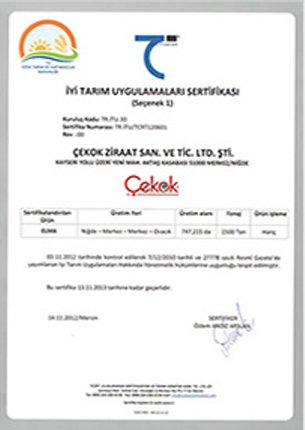 Cekok Ziraat San Certificate