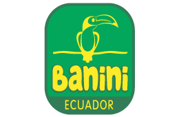 Banini