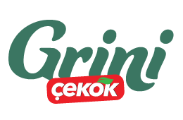 Grini